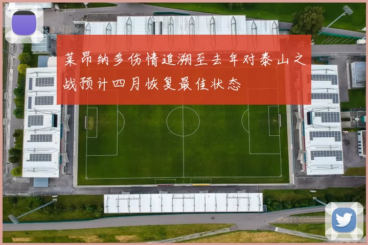 莱昂纳多伤情追溯至去年对泰山之战预计四月恢复最佳状态