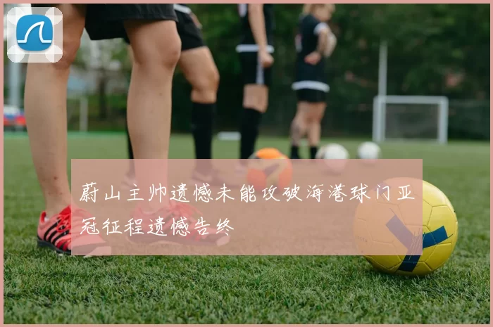 蔚山主帅遗憾未能攻破海港球门亚冠征程遗憾告终