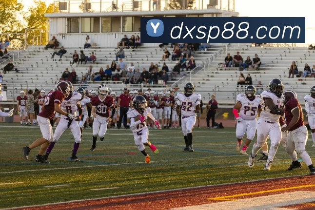 德信体育APP 高清赛事图